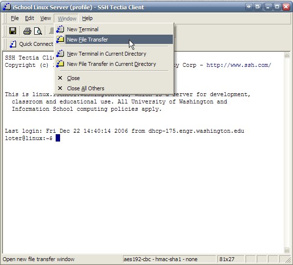 Screen Shot of SSH Tectia